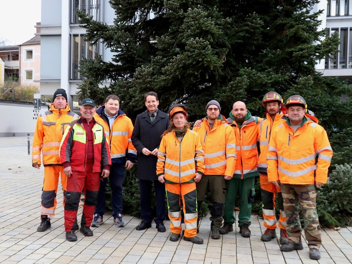 Christbaum auf dem Ingolstdter Rathausplatz