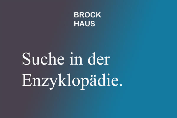 Brockhaus digital
