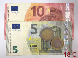 17 Euro Lese-ausweis