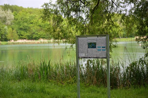 Bild vergrößern: Umwelt - Infopfad Baggersee - Infotafel