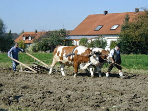 Foto: Kurt Scheuerer