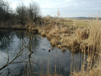 Gleßbrunnen. Foto: Kurt Scheuerer.