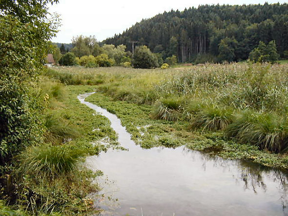 Schambachquelle. Foto: Kurt Scheuerer