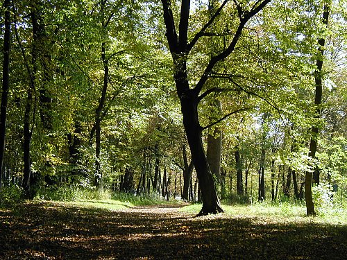 Glacis im Herbst