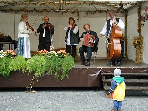 Herbstdult. Foto: Kurt Scheuerer