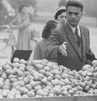 Wochenmarkt Ingolstadt 1955. Foto: Kurt Scheuerer