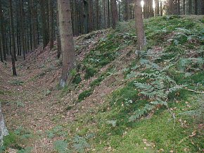 Schanze im Neuhau, Kurt Scheuerer, 2000