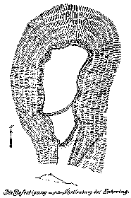 Schellenburg. Graphik: F. Winkelmann.